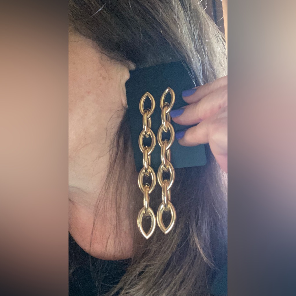 Nwot Gold Chain Long Earrings